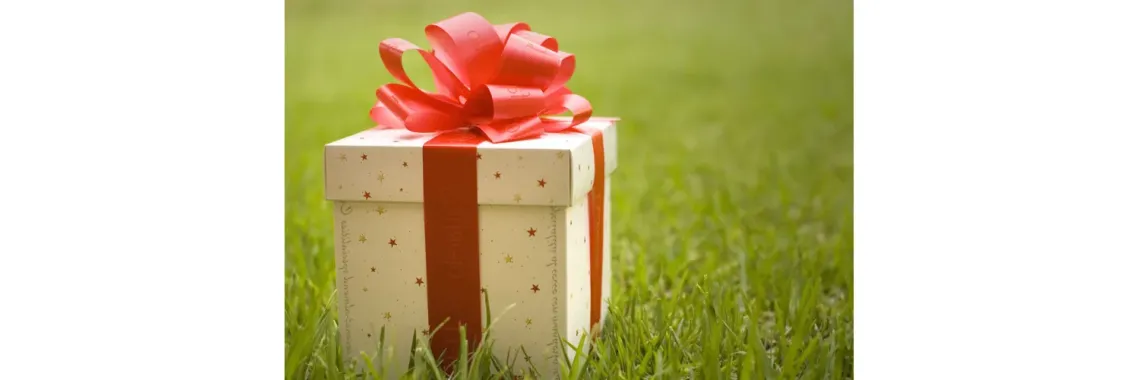 Beyond the Bow: The Psychology of Perfect Gifting